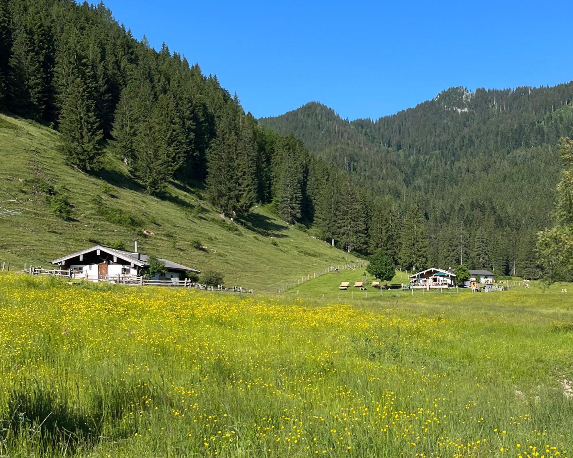 Ferienwohnung Gartenglueck Траунштайн Экстерьер фото